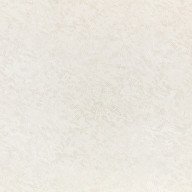 Shiri Pearl Shiri Pearl