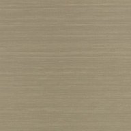 Raya Silk Embossed Caper Raya Silk Embossed Caper