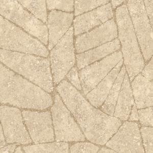 Fragment Ginseng Fragment Ginseng