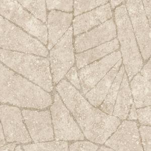 Fragment Dove Fragment Dove