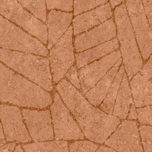 Fragment Tangerine Fragment Tangerine