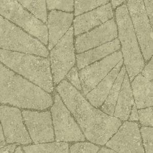 Fragment Absinthe Fragment Absinthe