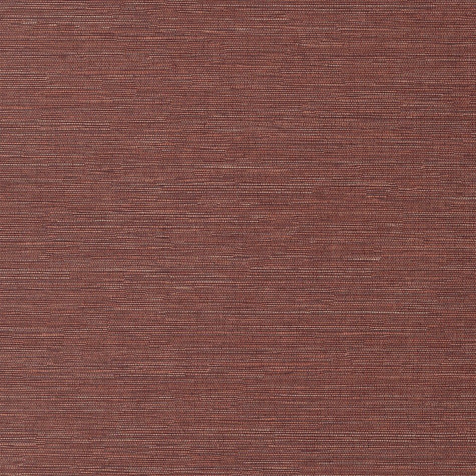 Cadie Spice HPCSIS0007 Cadie Spice HPCSIS0007