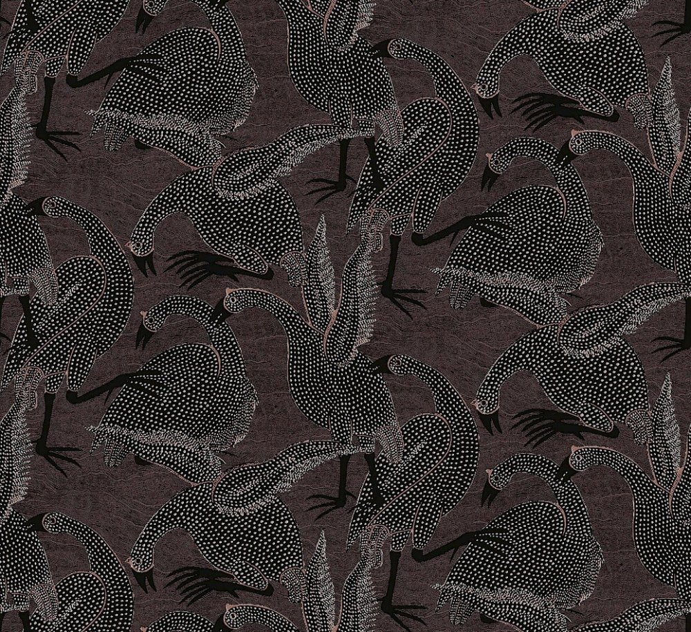 Guinea Chocolate TER104 Guinea Chocolate TER104