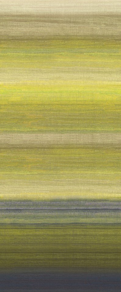 Chanderi Lime DGRIC206-300 Chanderi Lime DGRIC206-300