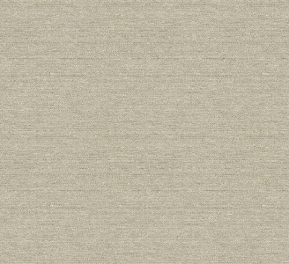 Mori Elm RIC008 Mori Elm RIC008