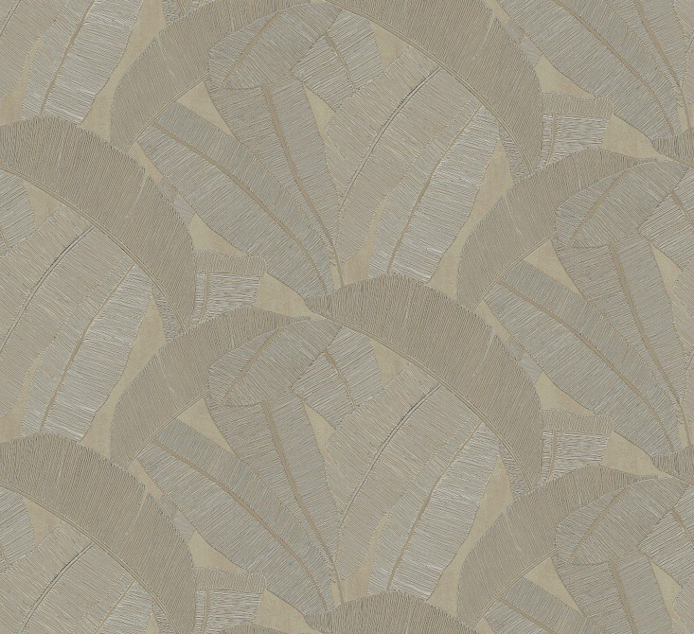 Banyan Elm RIC206 Banyan Elm RIC206