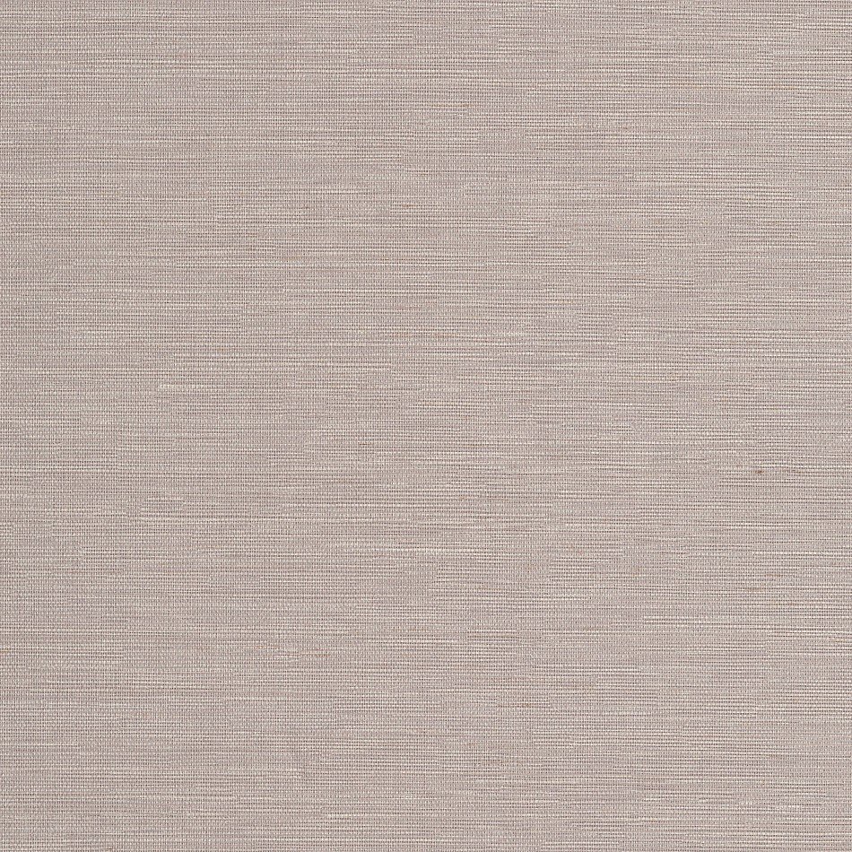 Cadie Moonbeam HPCSIS0005 Cadie Moonbeam HPCSIS0005