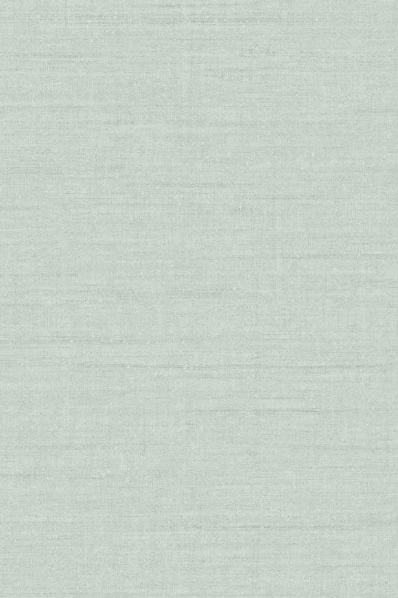 Flemish Flax Eucalyptus Flemish Flax Eucalyptus