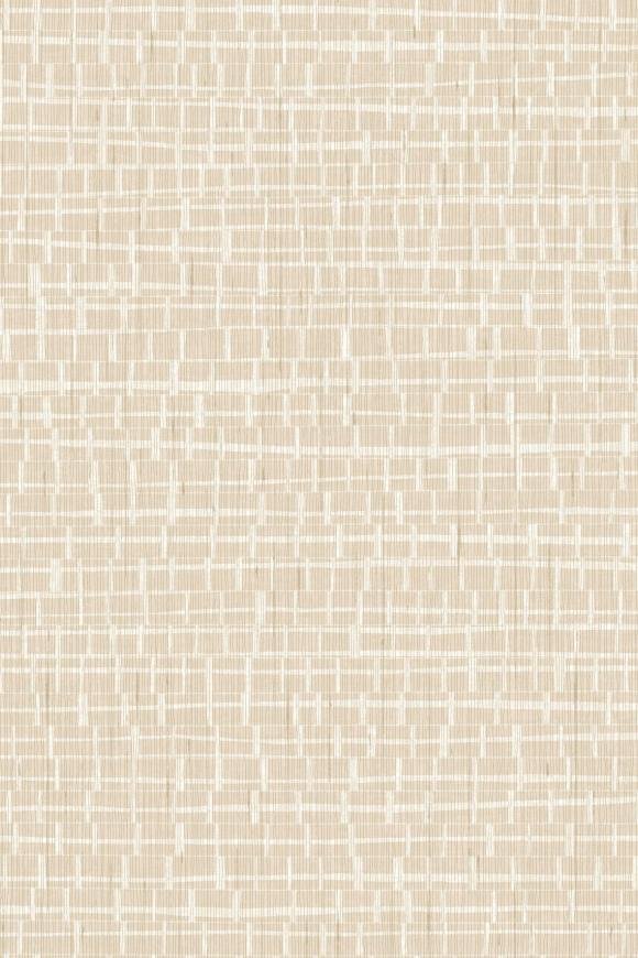 Madagascar Pearl Madagascar Pearl