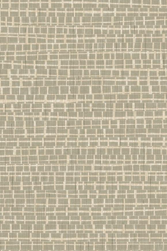 Madagascar Olive Madagascar Olive