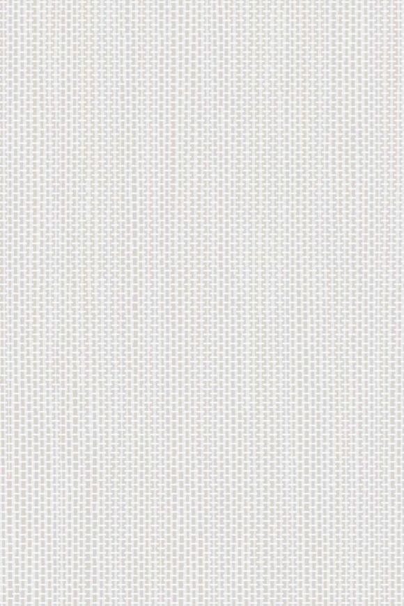 Arundo Frost white Arundo Frost white