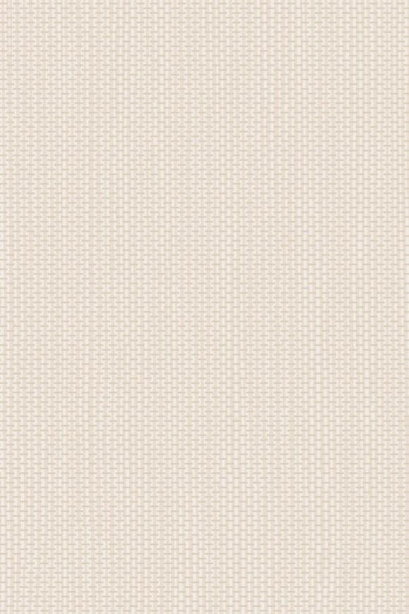 Arundo Eggshell Arundo Eggshell