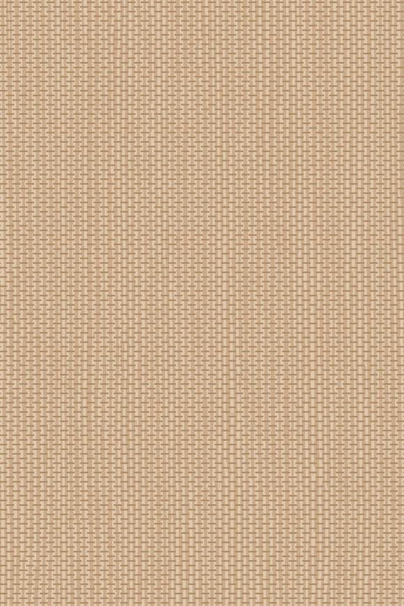 Arundo Hazelnut Arundo Hazelnut