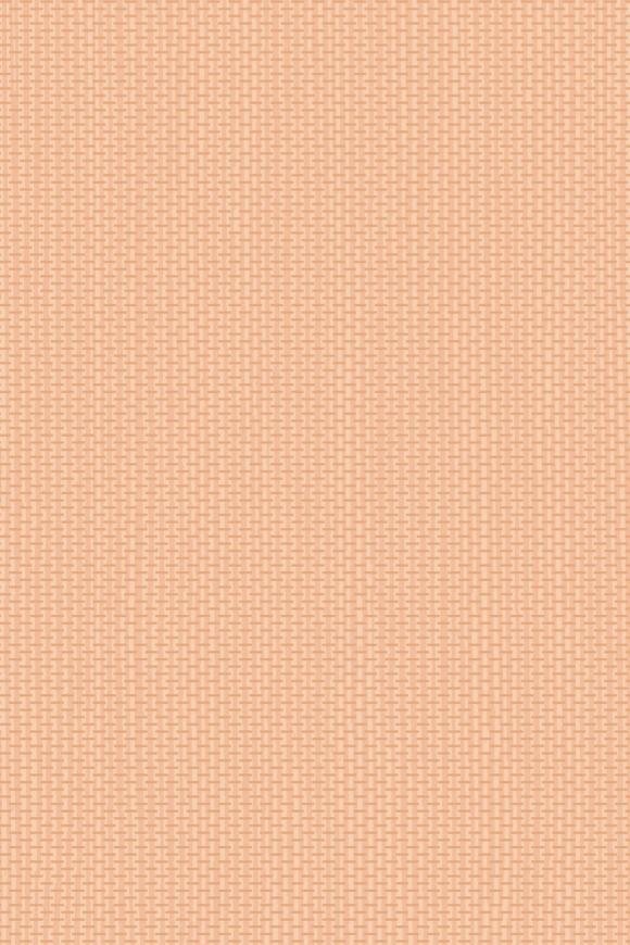 Arundo Papaya Arundo Papaya