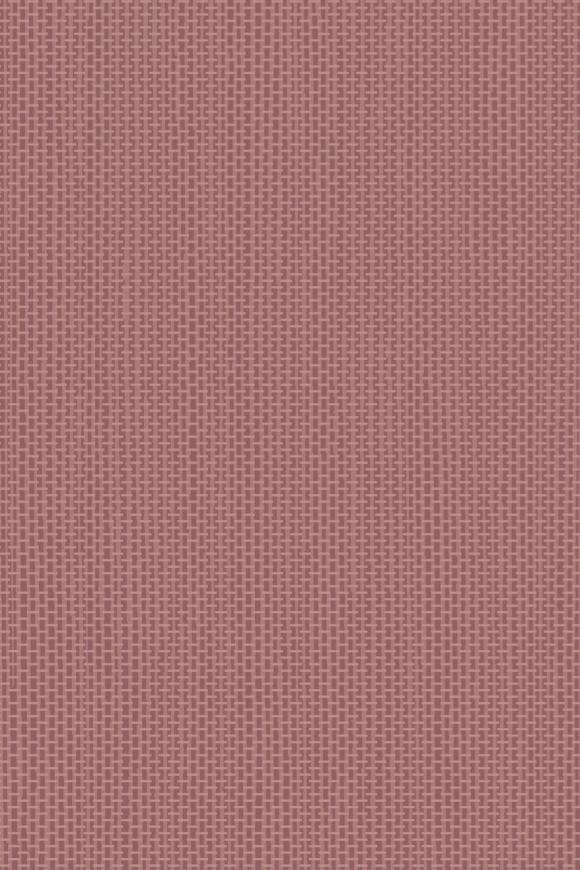 Arundo Burgundy Arundo Burgundy