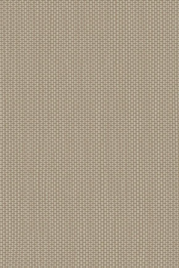 Arundo Khaki Arundo Khaki