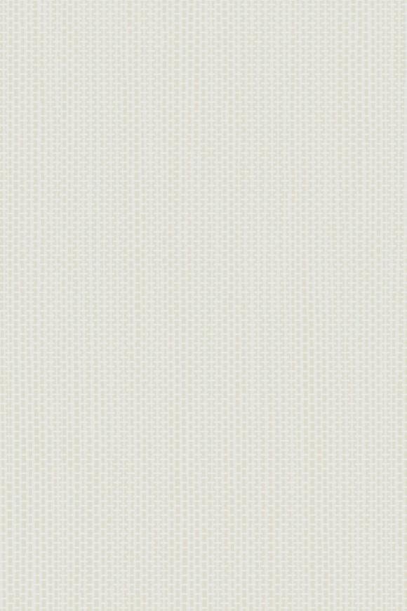 Arundo Silver Green Arundo Silver Green