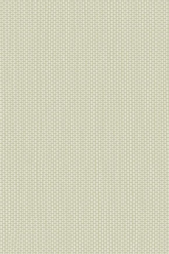 Arundo Aloe Wash Arundo Aloe Wash