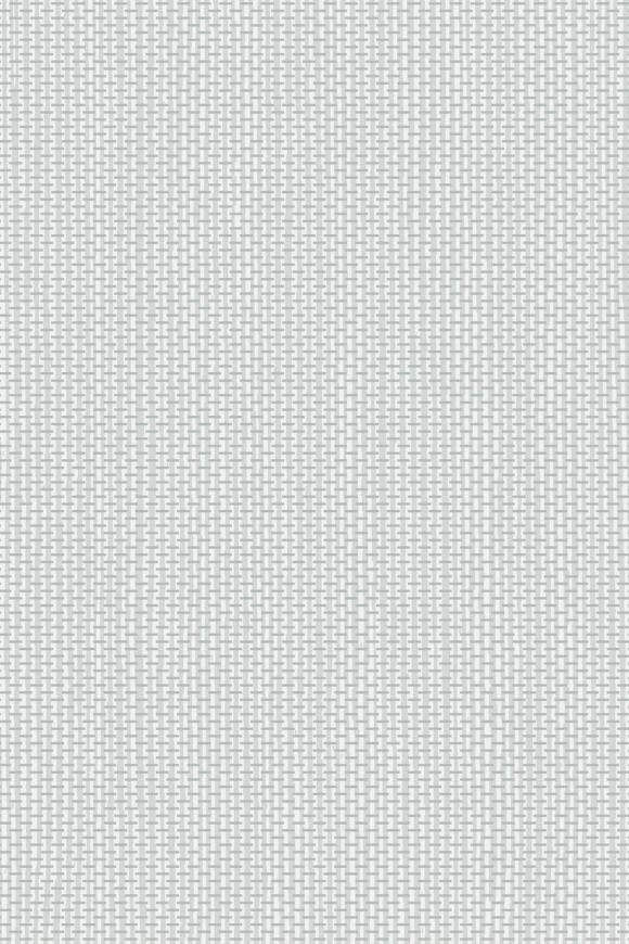 Arundo Iceberg Arundo Iceberg