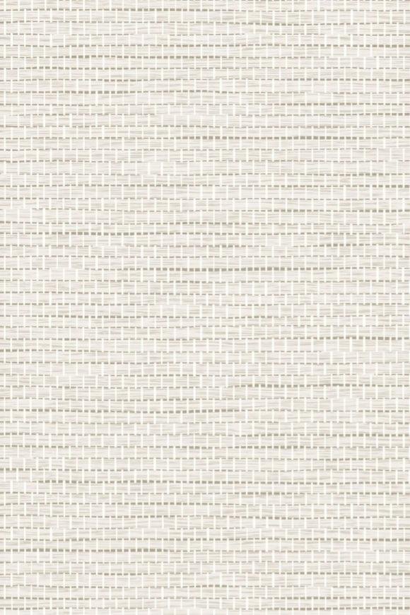 Bolga Drew Bolga Drew