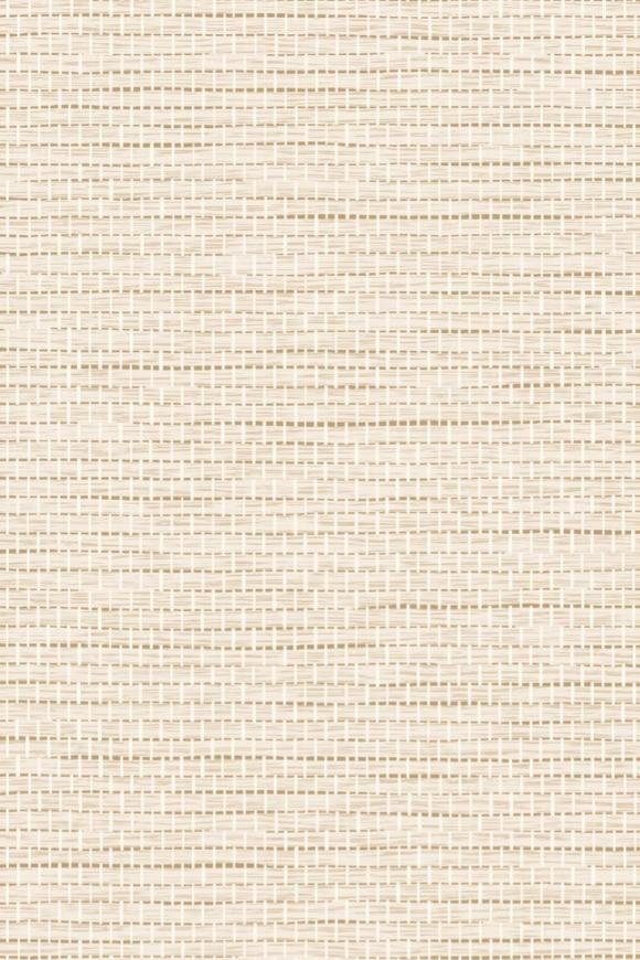 Bolga Pine Bolga Pine