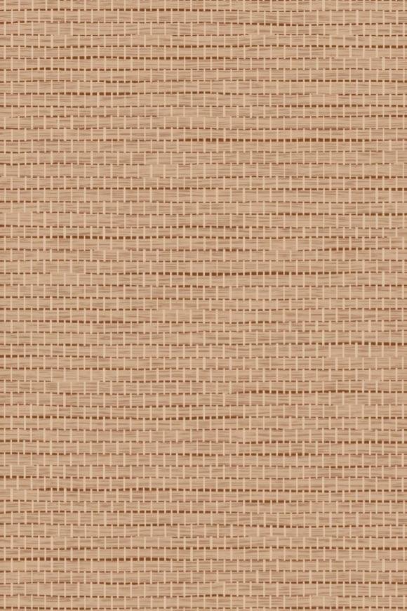 Bolga Pecan Bolga Pecan