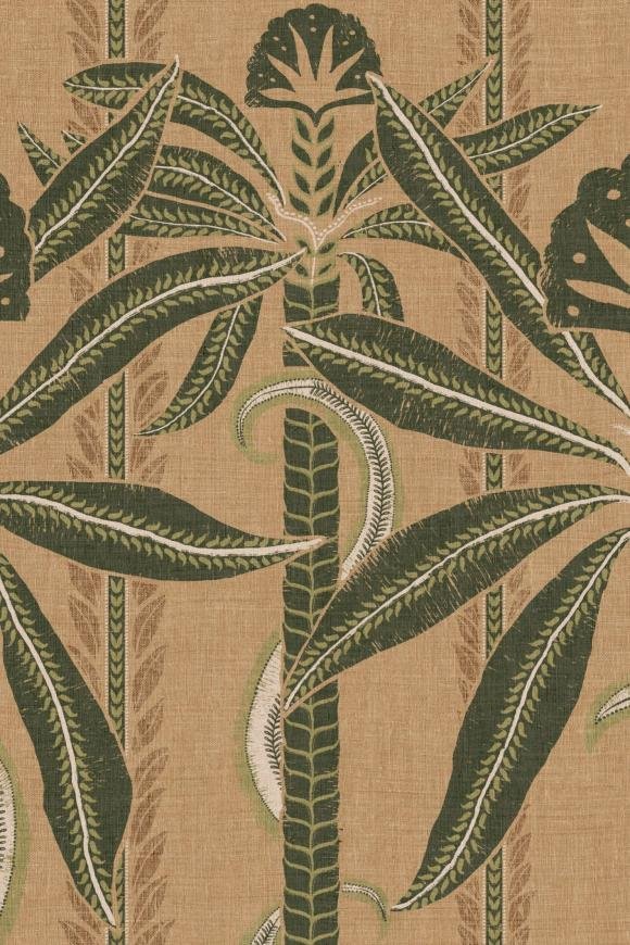 Kerala Forest Kerala Forest