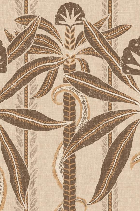 Kerala Havana Kerala Havana