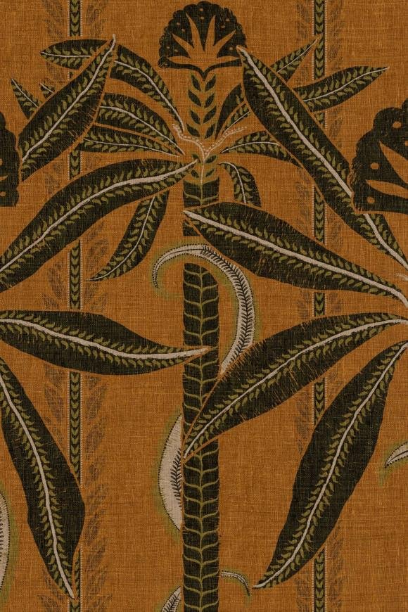 Kerala Tangerine Kerala Tangerine