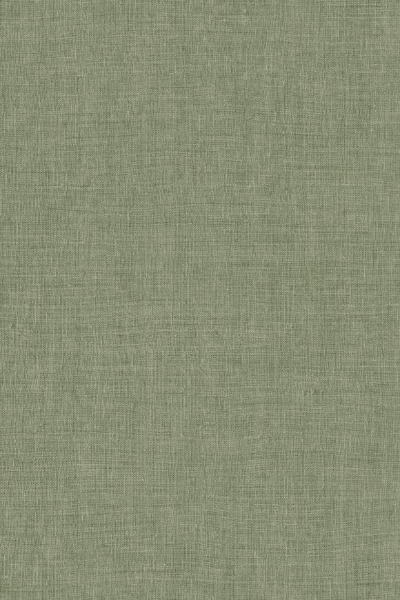 Mandu Olive Mandu Olive