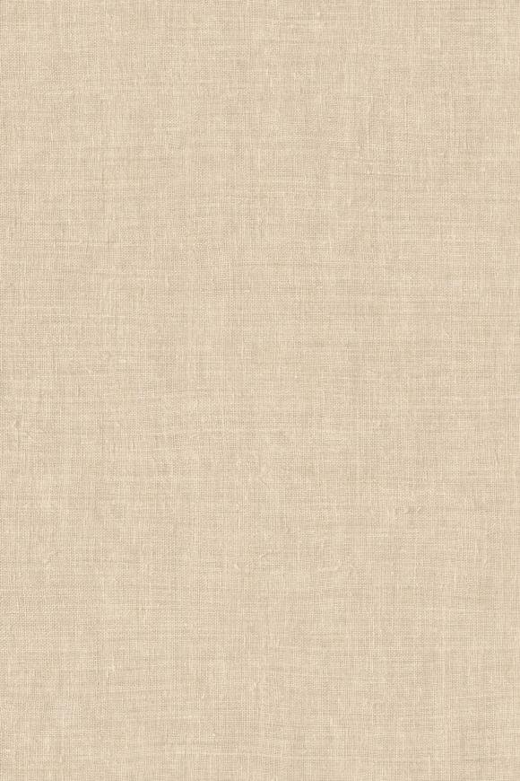 Mandu Sesame Mandu Sesame