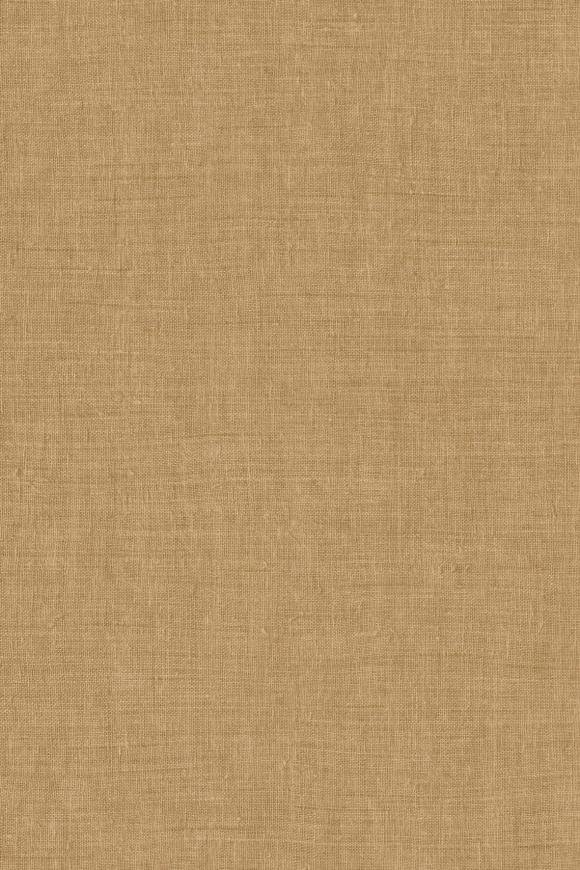 Mandu Camel Mandu Camel