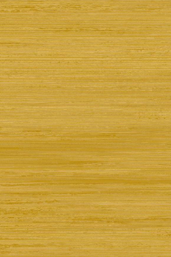 Allagi Marigold Allagi Marigold