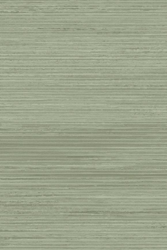 Allagi Laurel Allagi Laurel