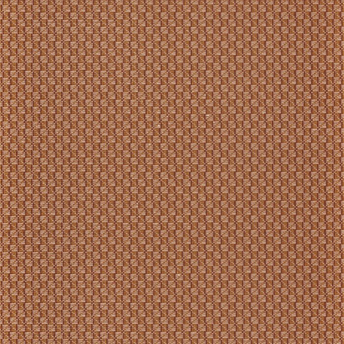 Trenza 74670456 Trenza 74670456