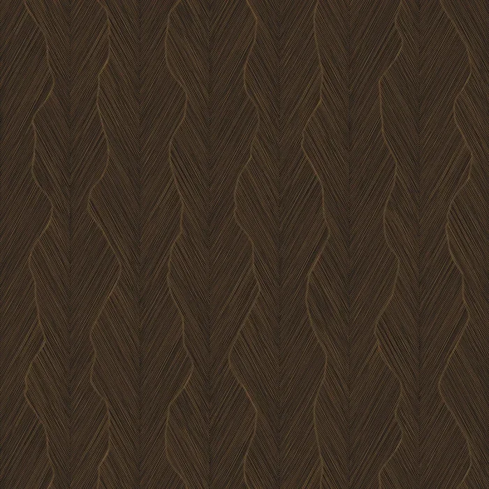 Strie Noir Strie Noir