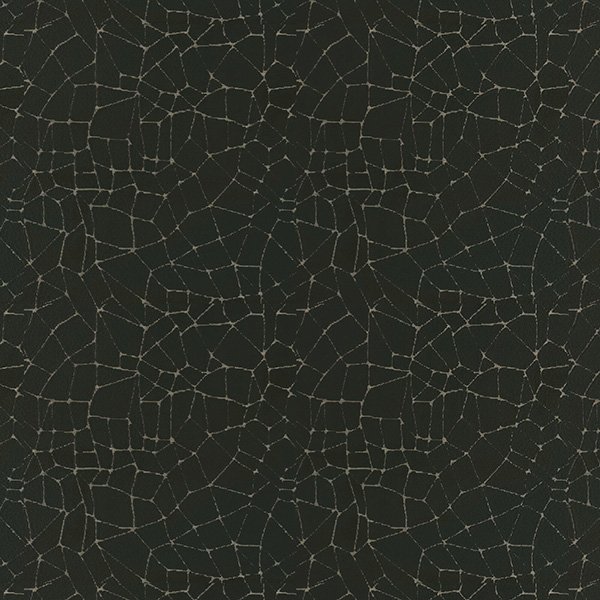 DWC Grunge Onyx fluweel DWC Grunge Onyx fluweel