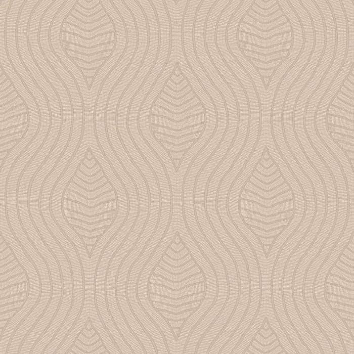 Brodelia Marron Glace Brodelia Marron Glace