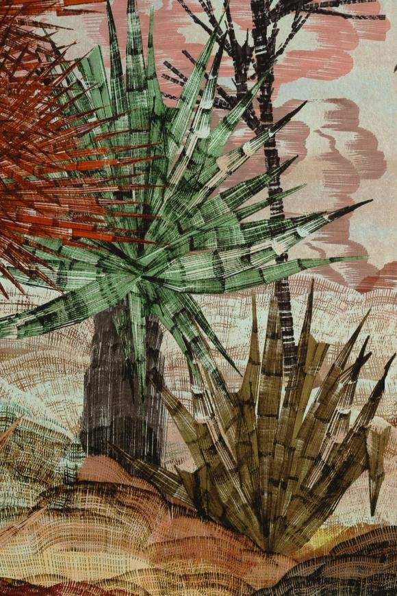 Yasuni Rhubarb Flora Yasuni Rhubarb Flora