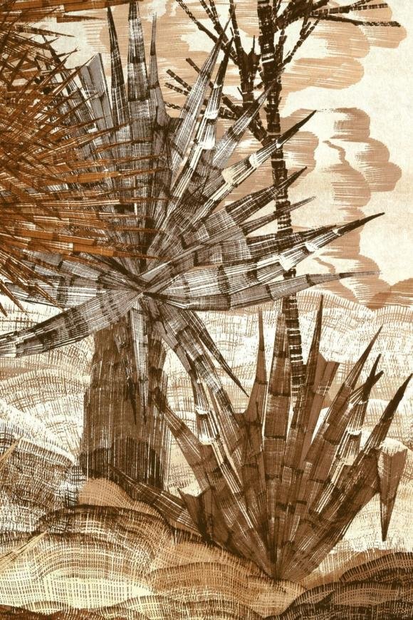 Yasuni Cononut Flora Yasuni Cononut Flora