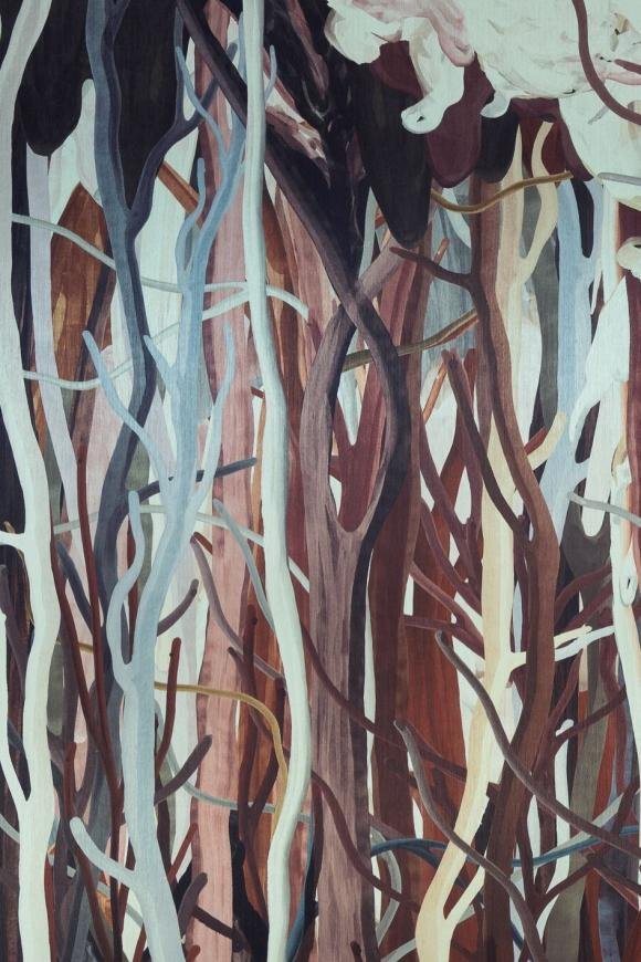 Mangrove Coffee Root Mangrove Coffee Root