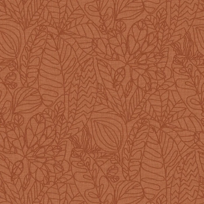 Argania Terra Argania Terra