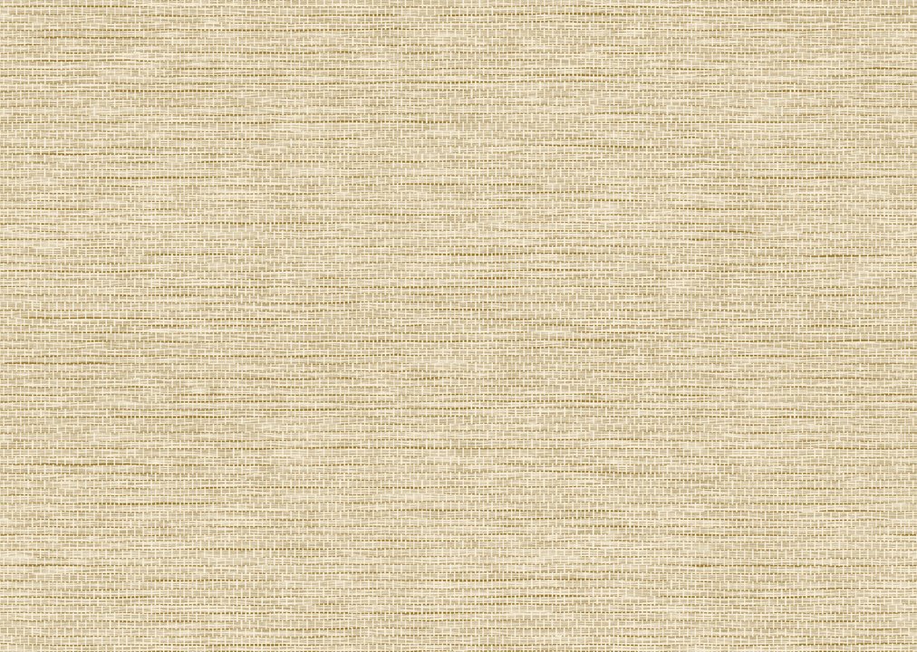 Arte Le Papier Tissé 60501 Honey Arte Le Papier Tissé 60501 Honey