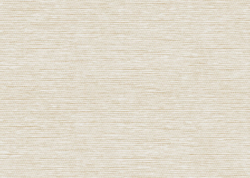 Arte Le Papier Tissé 60504 Eggshell Arte Le Papier Tissé 60504 Eggshell