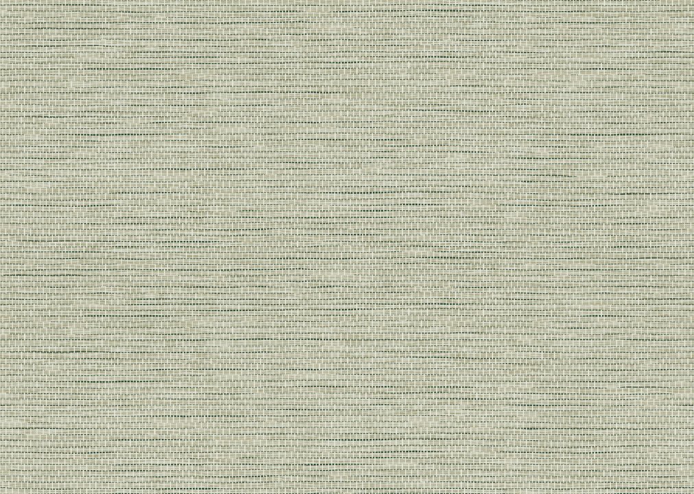 Arte Le Papier Tissé 60507 Pistache Arte Le Papier Tissé 60507 Pistache