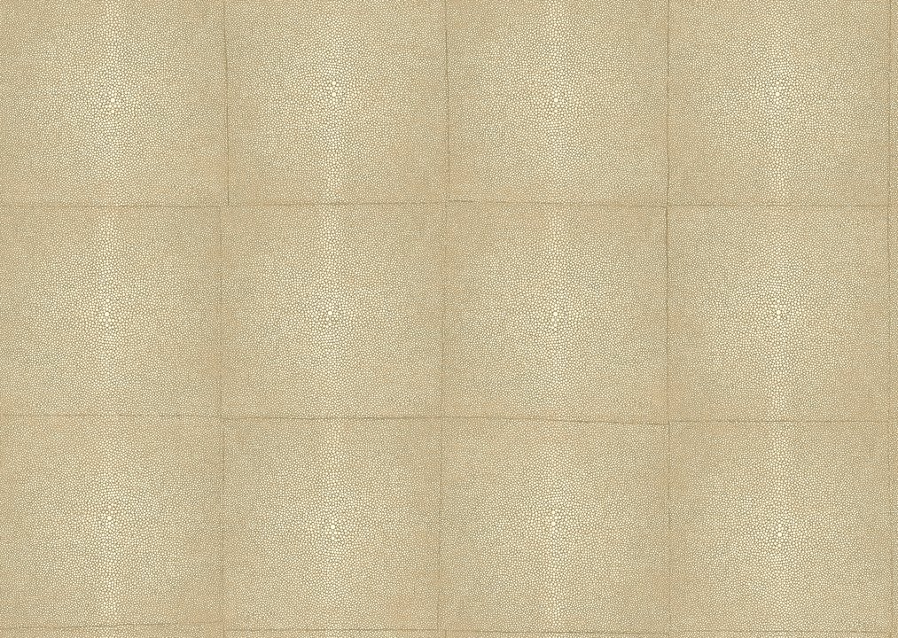 Arte 01-85521 Shagreen 85520 Sand Arte 01-85521 Shagreen 85520 Sand