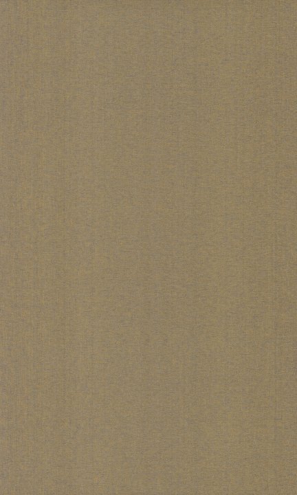 Arte Scope Curry Arte Scope Curry