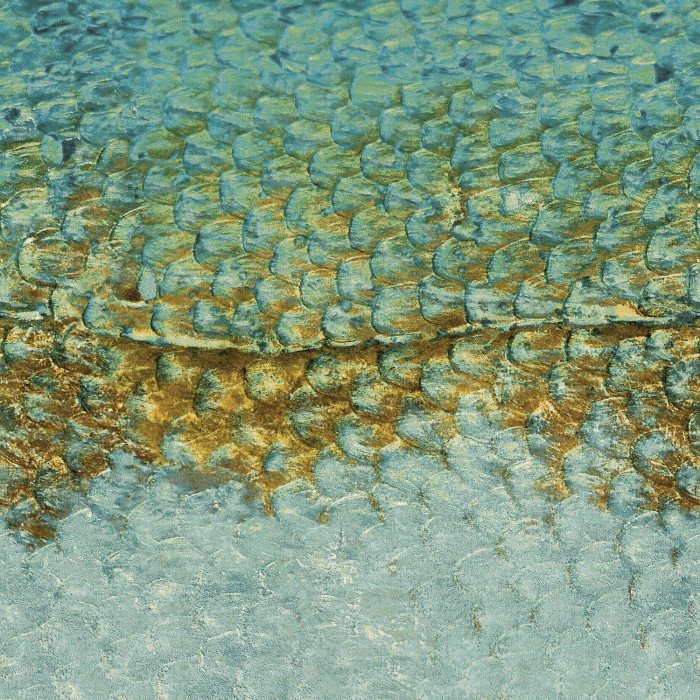 Scales_s Lichen Scales_s Lichen