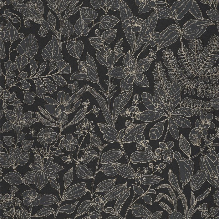 Esquisse Noir fusain